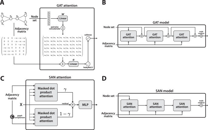 Fig. 1: The GAT and SAN architectures presented schematically.