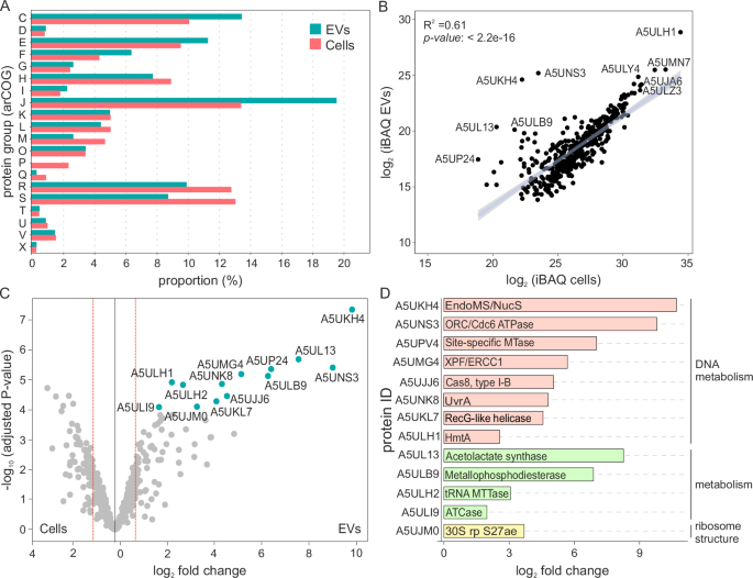 Fig. 3: Analysis of protein content of M. smithii EVs.
