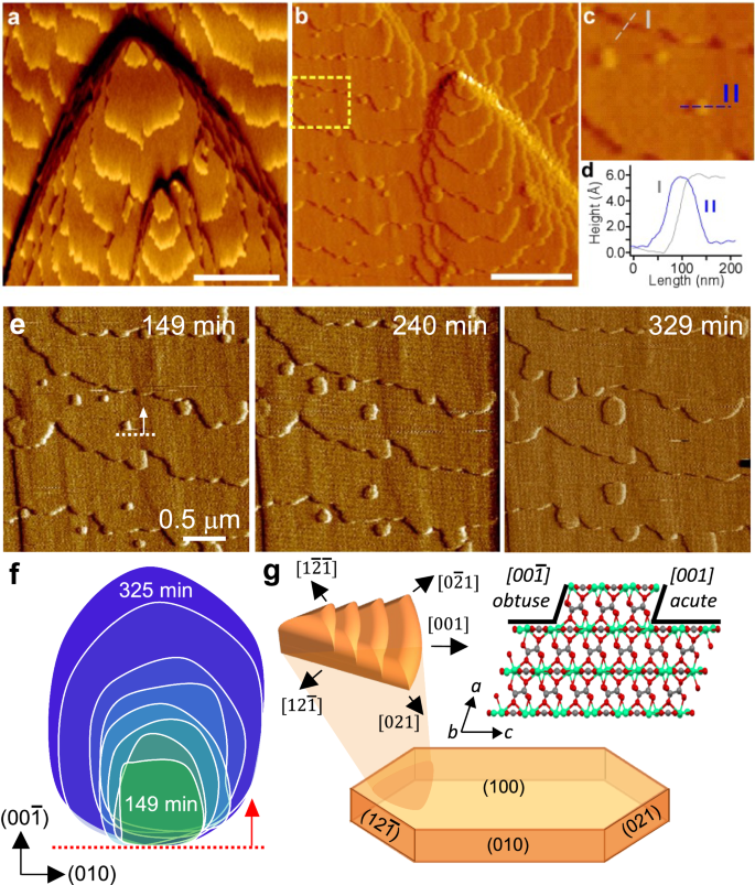 Fig. 6: Irreversible inhibition of COM surface growth.