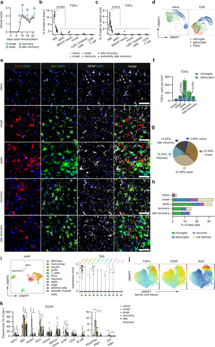 Fig. 1: Spatio-temporal regulation of microglia-derived TGFα during acute CNS inflammation.