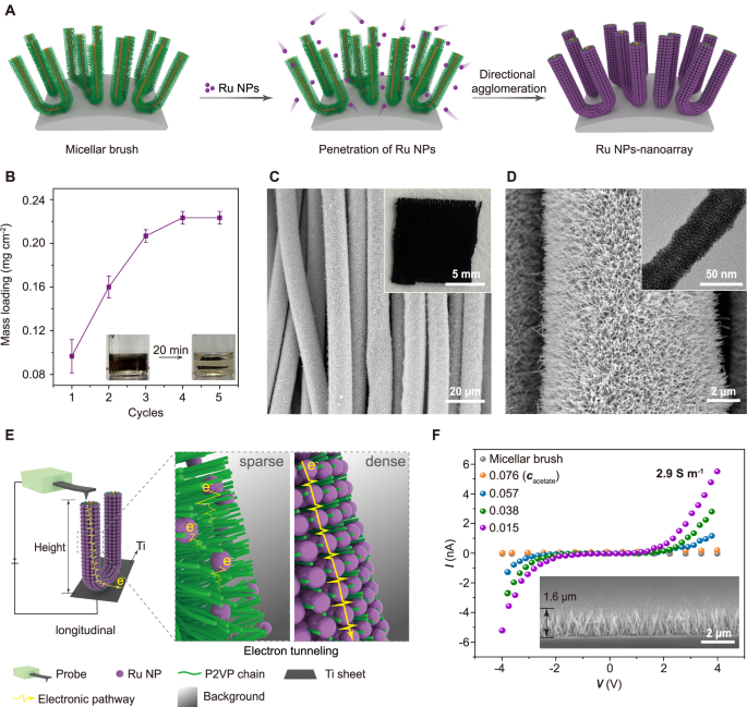 Fig. 2: Agglomeration of Ru NPs into erect nanoarrays on desired substrates.
