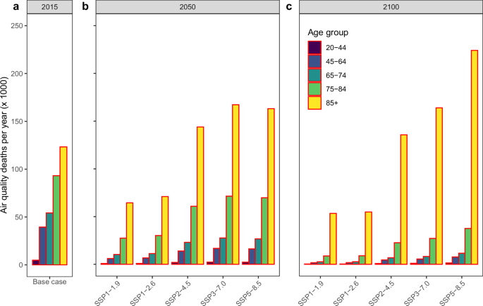 Fig. 6: Air quality death rate per age group.