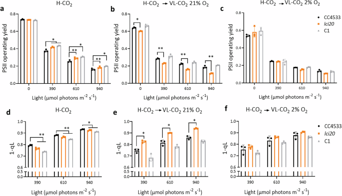 Fig. 5: Photosynthetic activity measured by chlorophyll fluorescence is reduced in lci20 during acclimation to VL-CO2 under photorespiratory (21% O2) but not under non-photorespiratory (2% O2) conditions.
