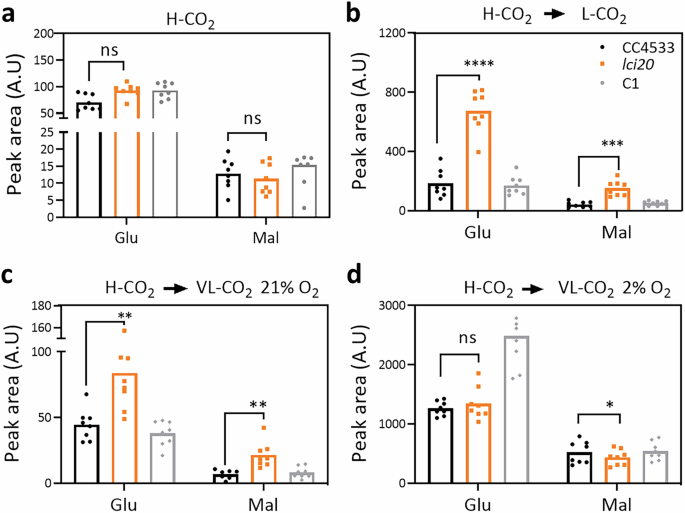 Fig. 6: Metabolomic analysis shows increased accumulation of malate and glutamate in lci20 during a transition from H-CO2 to VL-CO2 under photorespiratory but not under non-photorespiratory conditions.
