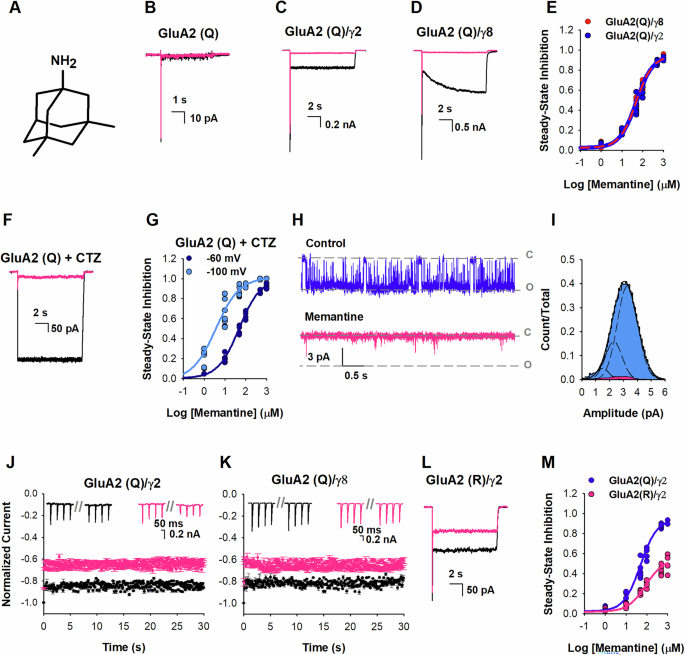 Fig. 1: Memantine inhibition of AMPA receptors.