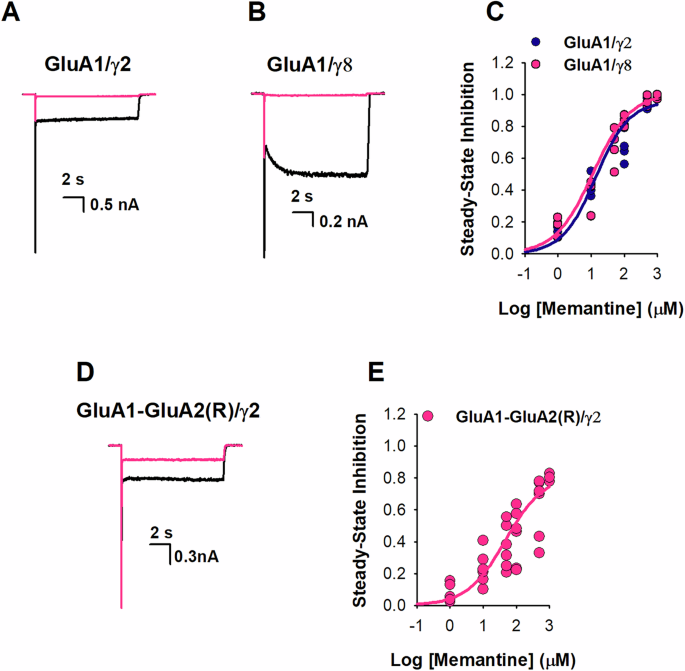 Fig. 2: Memantine inhibition in the presence of GluA1 subtype.