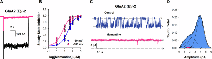 Fig. 4: Memantine inhibition of GluA2 (E) /γ2.