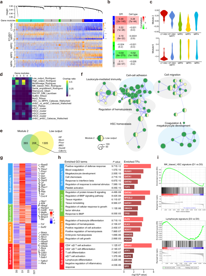 Fig. 2: Gene co-expression network analysis revealed dynamic transcriptional programs in HSPCs related to IR stress.