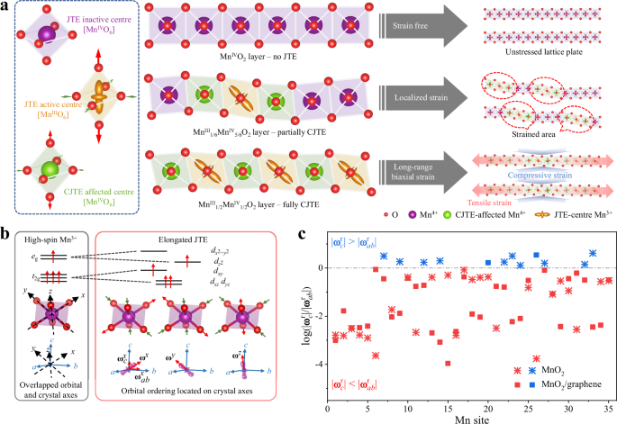 Fig. 1: Theoretical prediction of CJTE-induced long-range biaxial strains.