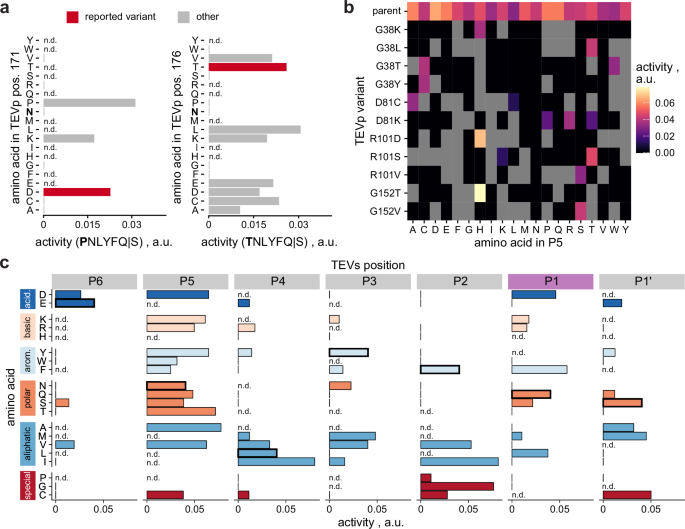 Fig. 3: Single-site mutants of TEVp with modulated substrate specificity.