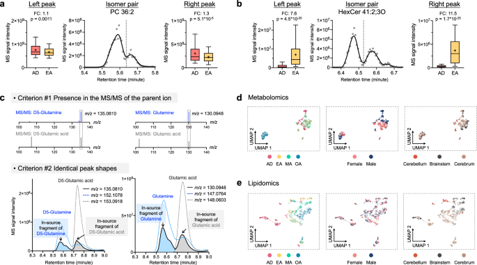 Fig. 4: Validating MassCube reports by re-analyzing raw data of the Metabolome Atlas of the Aging Mouse Brain.