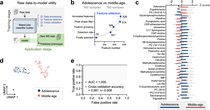 Fig. 5: MassCube utility for phenotype classifiers: predicting age-differences across all brain regions, re-using data from the Metabolome Atlas of the Aging Mouse Brain.