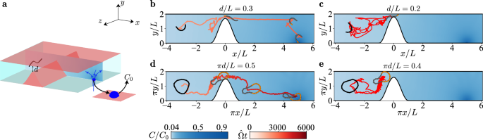 Fig. 6: Chemotactic navigation through a narrow constriction.