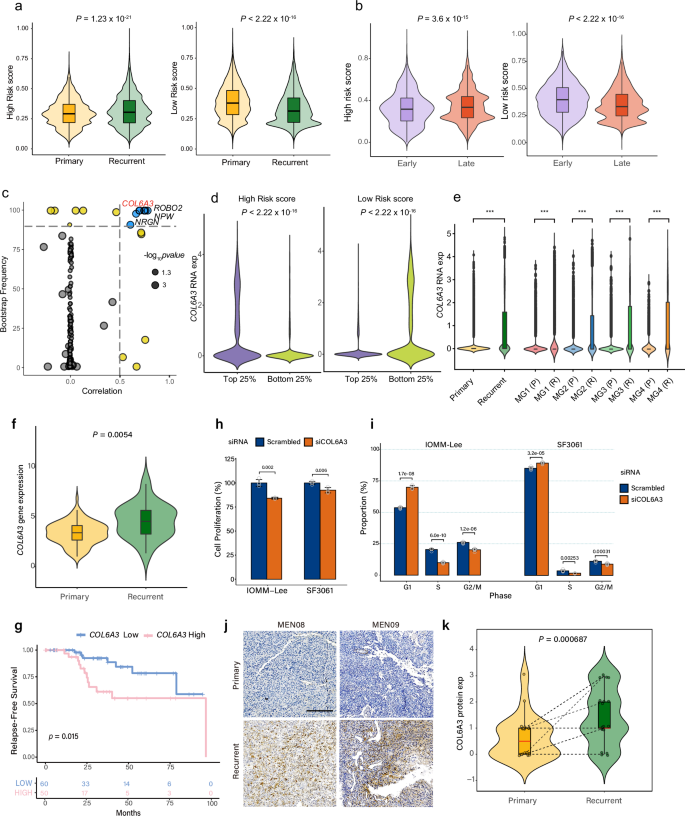 Fig. 3: Risk signature analysis of primary and recurrent tumor cells identified COL6A3 as a driver of risk vulnerability.