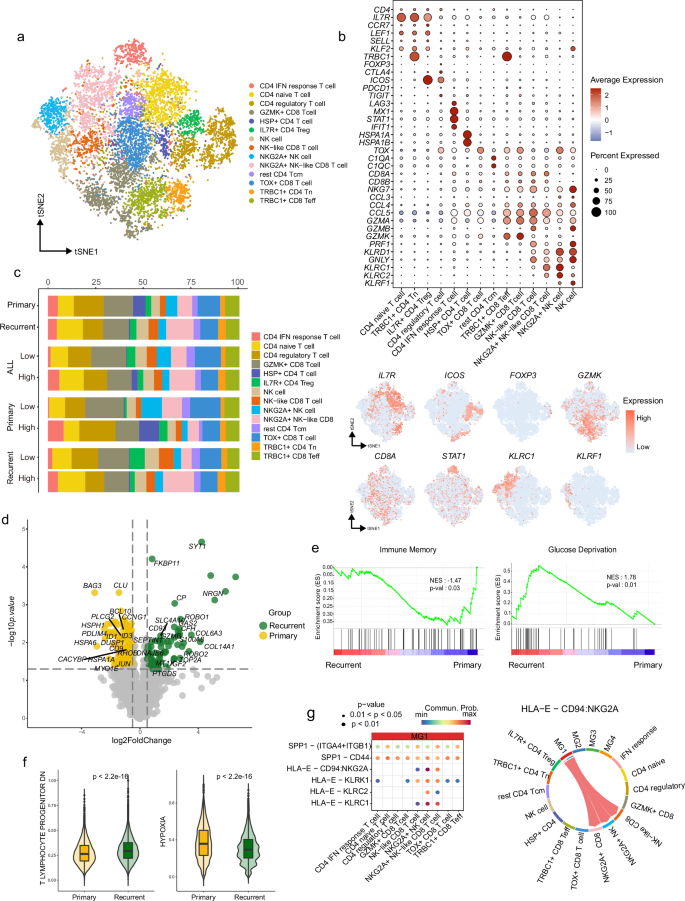 Fig. 5: Distinctive characteristics of T cells and NK cells between primary and recurrent meningiomas.