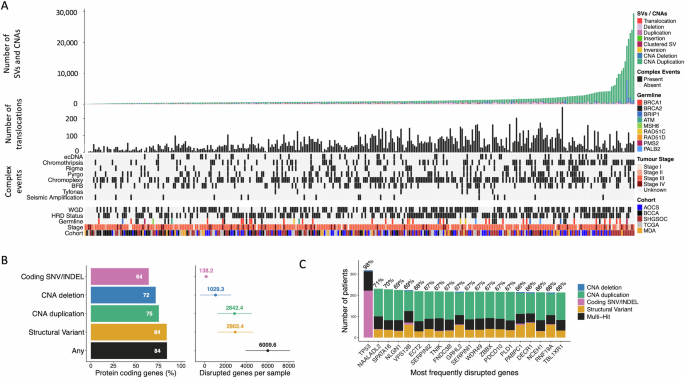 Fig. 1: Structural complexity in HGSOC.