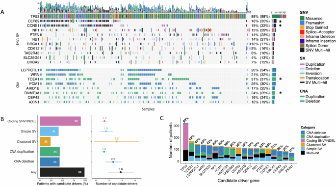 Fig. 3: Diverse somatic mutation classes underlie HGSOC candidate driver genes.