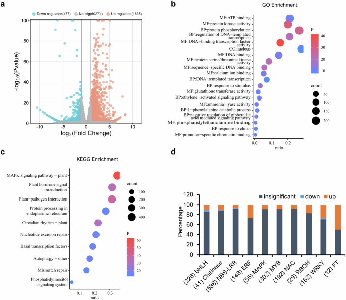Fig. 7: TaFAH regulates a subset of gene expression.