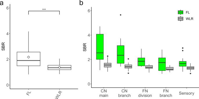 Fig. 2: Comparison of SBR in WLR and FL images (all cohorts).