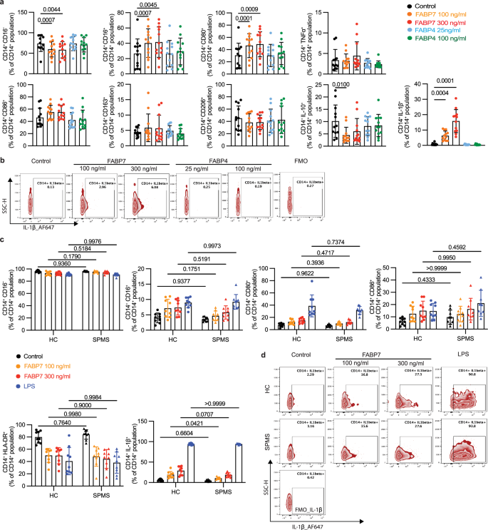 Fig. 2: FABP7 increased CD16, CD80 and IL-1β in monocytes.