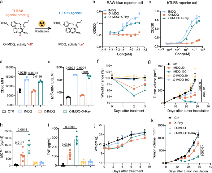 Fig. 1: Local X-ray activates TLR7/8 agonist prodrug to control tumor.