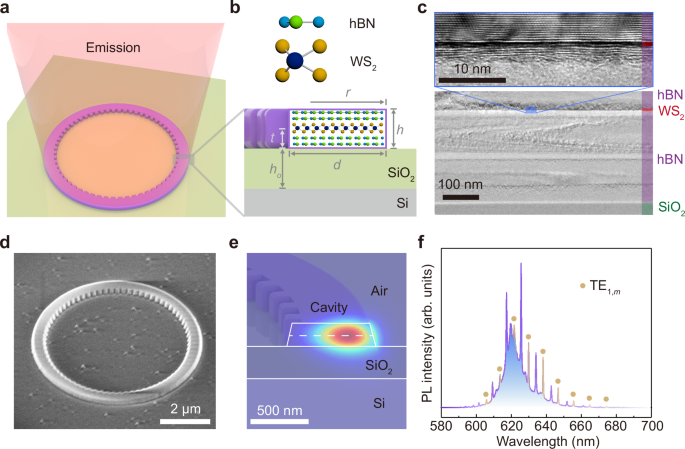 Fig. 1: Design of vdW heterostructure cavity.