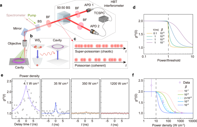 Fig. 3: Temporal coherence of vdW CLS.