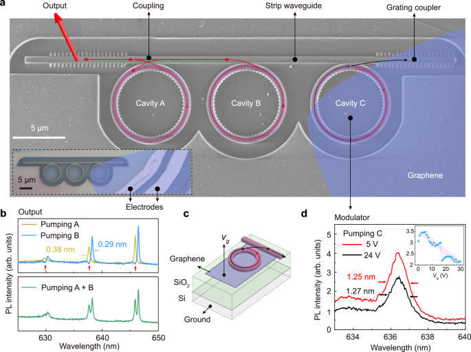 Fig. 4: Proof-of-concept on-chip vdW PIC.