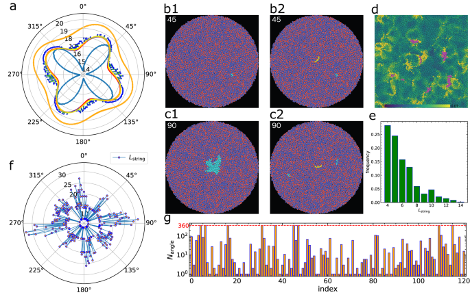 Fig. 4: Shear anisotropy induced by hierarchical QLMs.