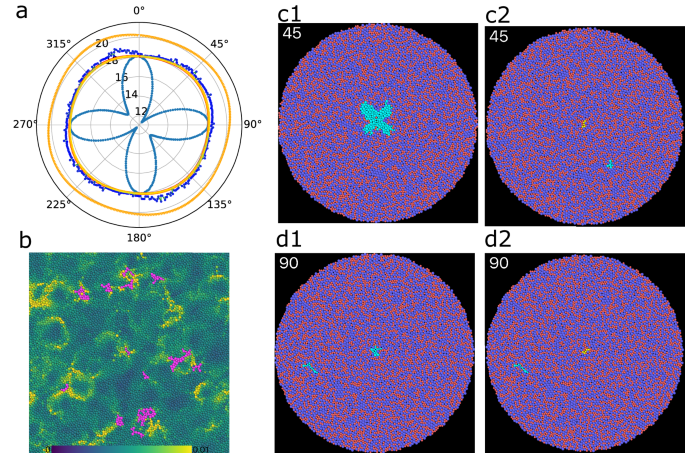 Fig. 5: Shear anisotropy induced by a primary QLM.