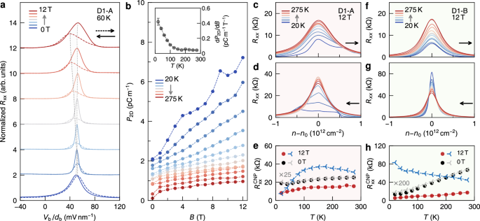 Fig. 3: Temperature dependence of B-enhanced ferroelectric polarization and evidence of ferroelectric domain change.