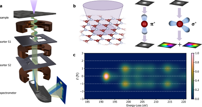 Fig. 1: Experimental setup for OAM-EELS.