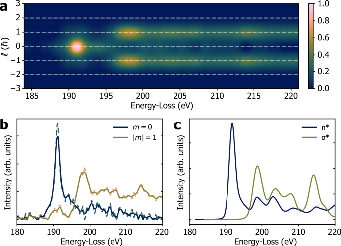 Fig. 4: Results of model-based fitting.
