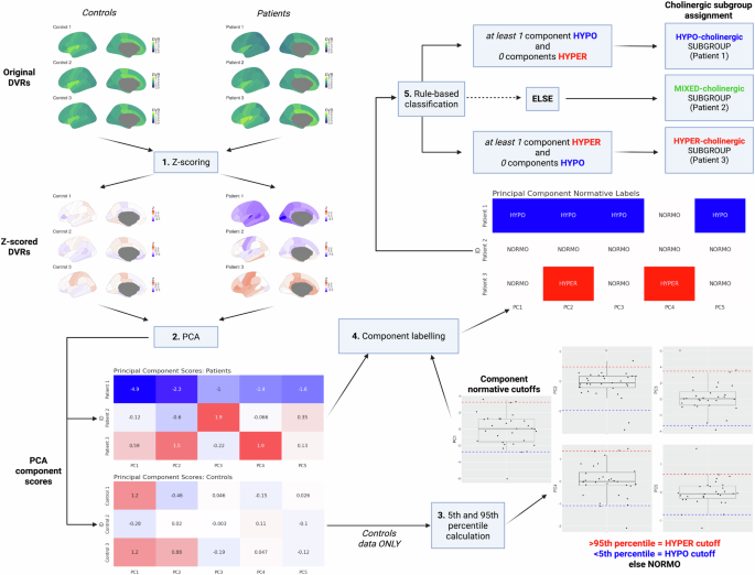 Fig. 1: Schematic representation of cholinergic subgroup biology-based classification algorithm.