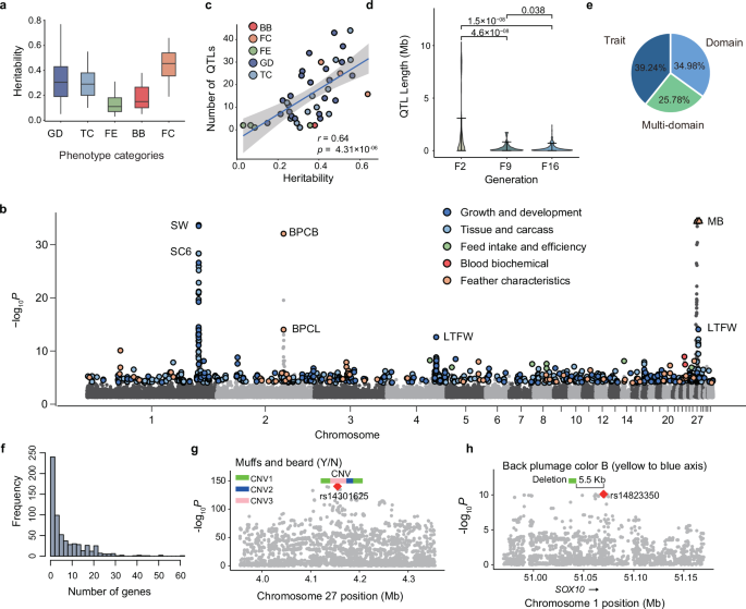 Fig. 3: Genome-wide association studies (GWAS) and QTL fine mapping.