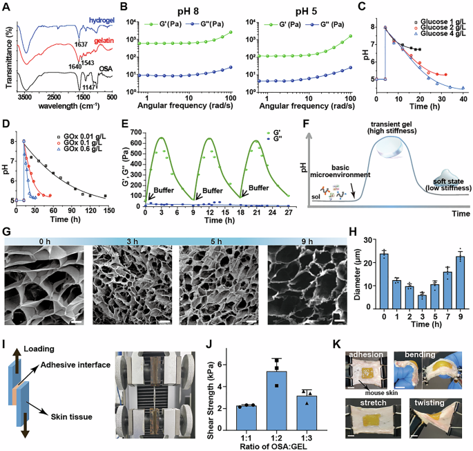 Fig. 2: Chemical properties and mechanical characterizations of hydrogel dressing.