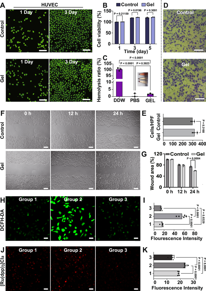 Fig. 3: In vitro analysis of the hydrogel.