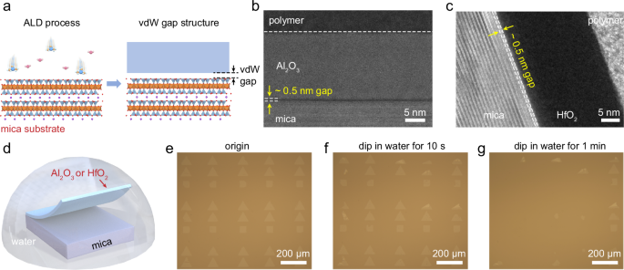 Fig. 1: Weak interfacial interaction between atomic-layer-deposited (ALD) oxides and mica substrate.