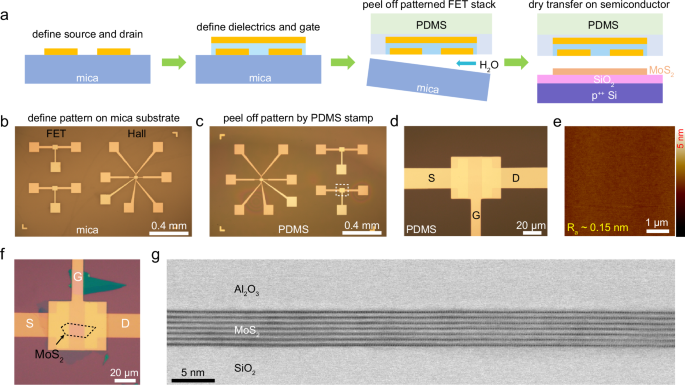 Fig. 3: One-step simultaneous transfer and integration of contact electrodes and the entire gate stack.