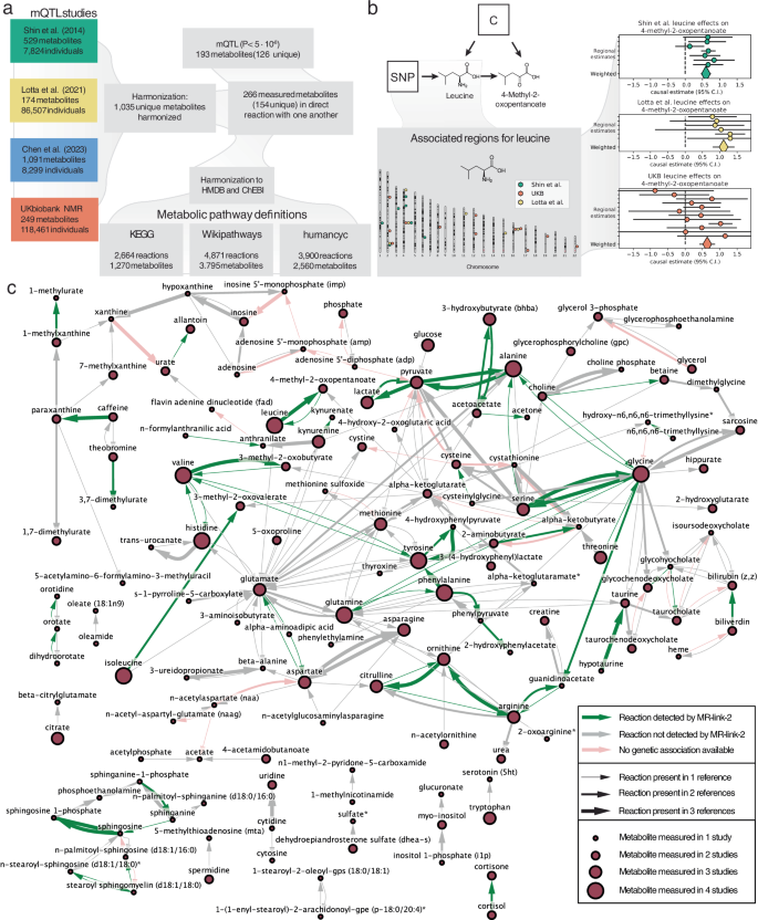Fig. 3: Metabolite quantitative trait loci (mQTL) studies used in this analysis, an example MR analysis and the true causal links and true positives identified in this study.