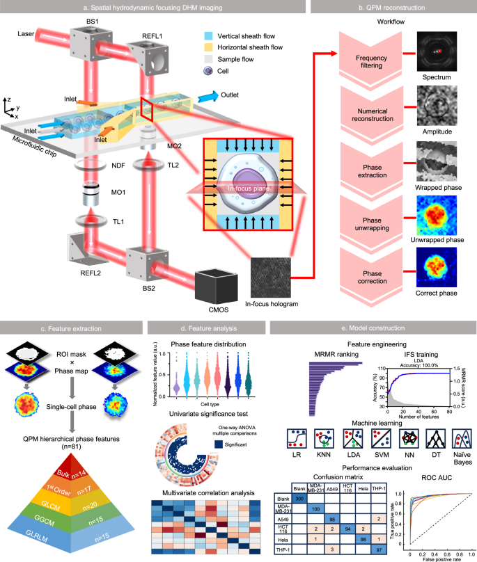 Fig. 1: Overall principle and workflow of the SMHI platform.