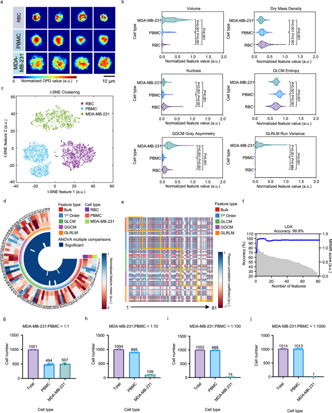 Fig. 7: Identification and enumeration of breast cancer cells in human blood.