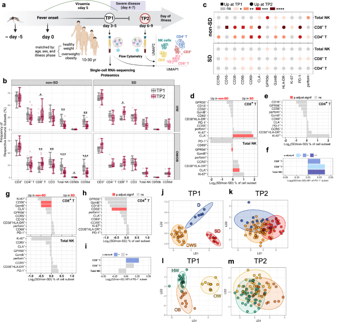 Fig. 1: Distinct T-cell and NK-cell profiles in SD.