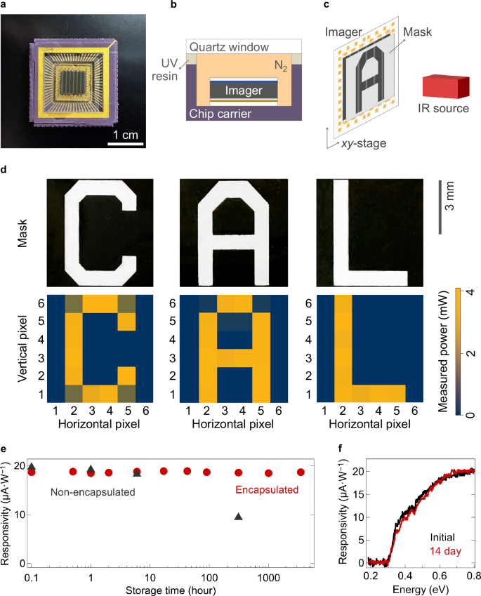 Fig. 3: MWIR imaging using an array of BP photodetectors.