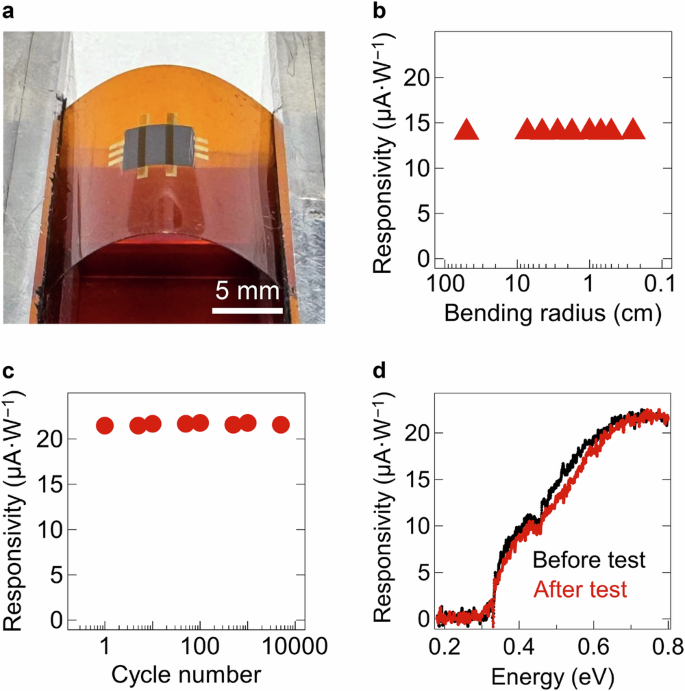 Fig. 4: Mechanical flexibility test of a BP photodetector.