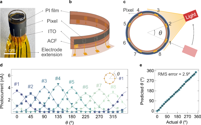Fig. 5: Panoramic wide-angle imaging using flexible BP imager.