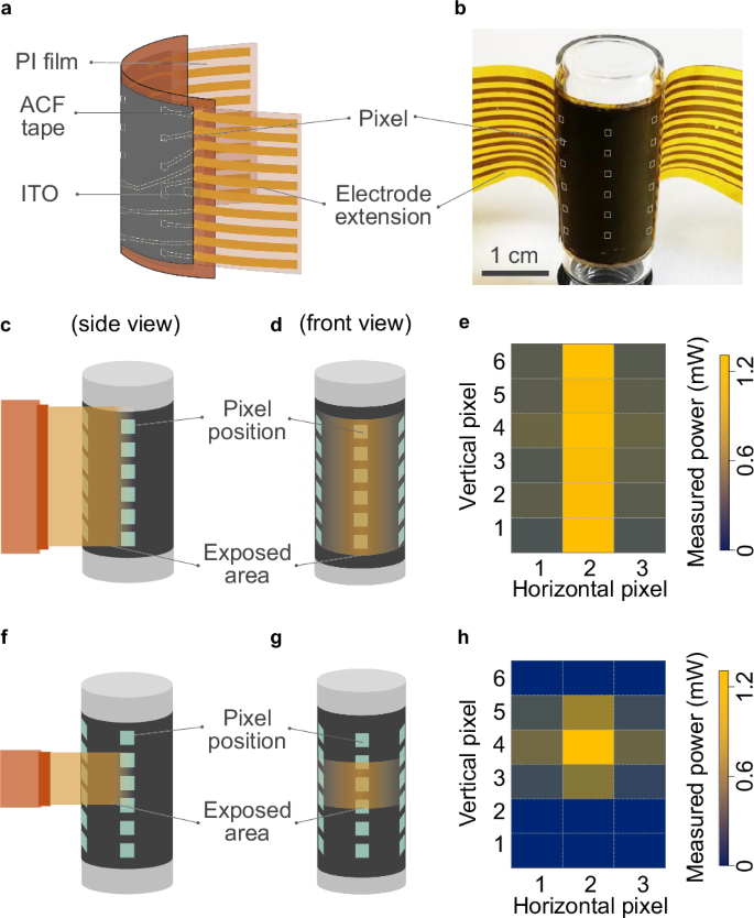 Fig. 6: Two-dimensional scanner using a flexible BP imager.