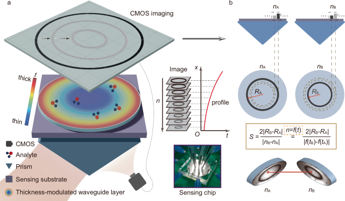 Fig. 1: The schematic of the ultrasensitive differential guided-mode resonance.