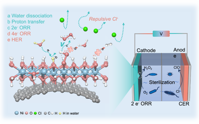 Fig. 1: Illustration of the advantages of Ni(OH)2/CNT to selective H2O2 electrosynthesis, and the possible tanks with 2e− ORR and CER.