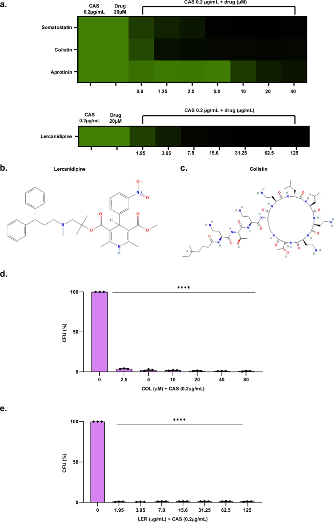 Fig. 1: LER and COL potentiate CAS against A. fumigatus.